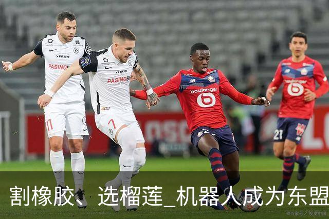 割橡胶、选榴莲 机器人成为东盟市场“新宠” 各国释放明确需求信号